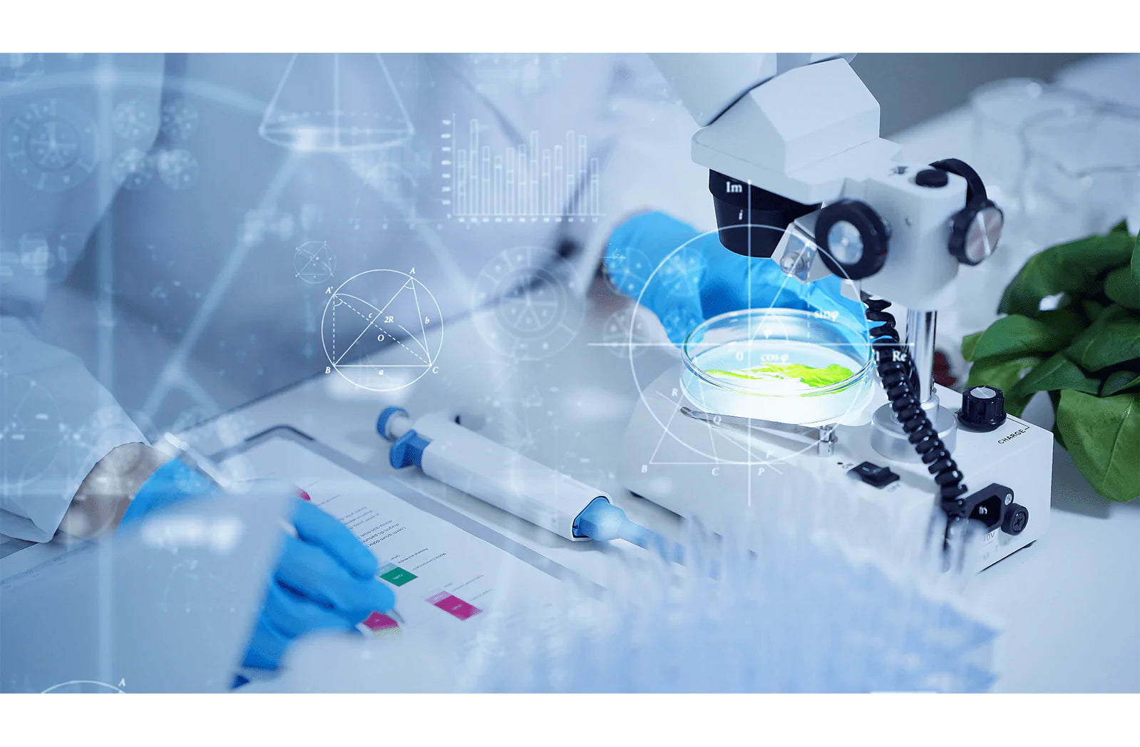 マグネシウム濃度に関して